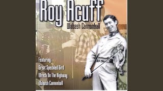 Beautiful Brown Eyes