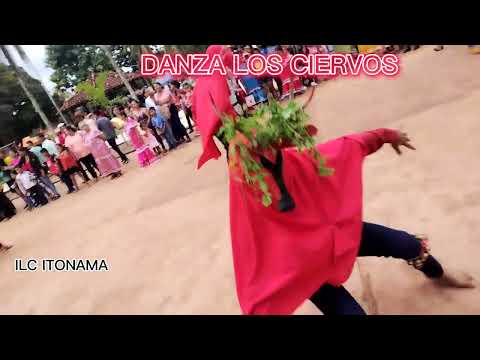 DANZA LOS CIERVOS (HUACARAJE)