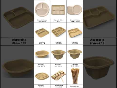 Bagasse Disposable Plate