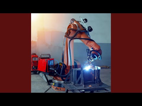 Principles of Immortals