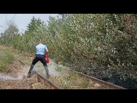 Jandarmii au intervenit la un incendiu lângă linia de tramvai Stiri Braila - Probraila.ro