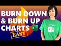 Excel Burn Down & Burn Up Charts for Project Management