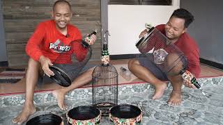 Download lagu Sangkar Ukir Pleci Istimewasangkar baru semangat b... mp3