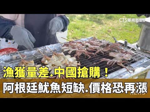 漁獲量差.中國搶購！阿根廷魷魚短缺　價格恐再漲