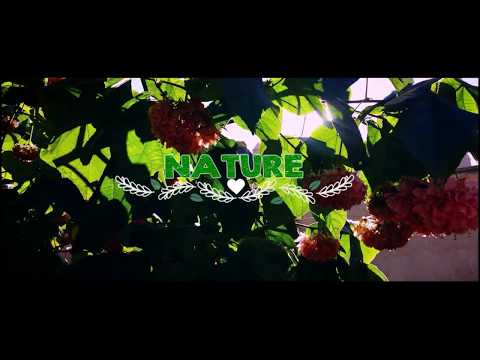 • Nature Cinematic •