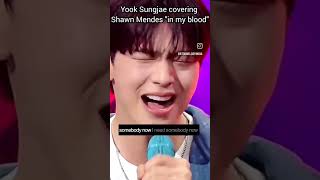 Sungjae covered Shawn Mendes &quot;In my blood | #yooksungjae #inmyblood #shawnmendes