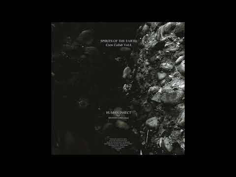Human Insect - Lives In The Stone (Original Mix) [O.V.N.I.]