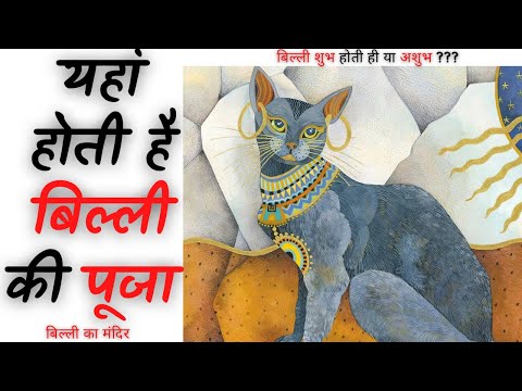 यहां होती है बिल्ली की पूजा | बिल्ली का मंदिर | #Short #shortsfeed #f3 @a2motivation