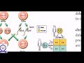 X BOTANY GENETICS PART 3