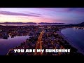 You are my sunshine | Chipmunks Version