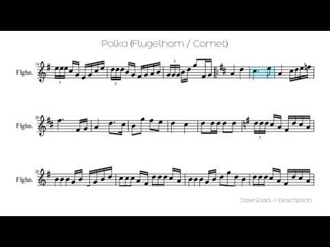 🎶 Polka (Flugelhorn / Cornet) 🎸🎸
