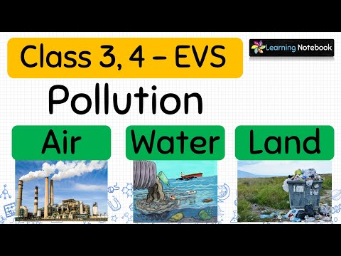 Pollution | Types of Pollution