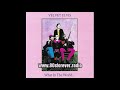 Velvet Elvis What In The World 1988