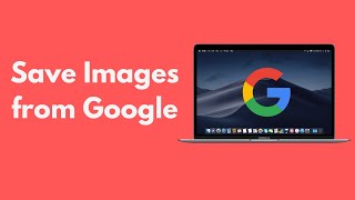 How to Save Images From Google on Mac (2021)