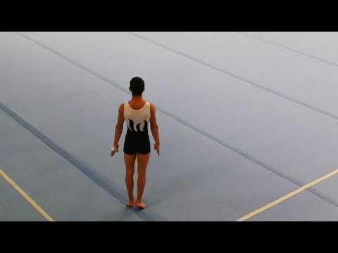 Gam Arcore serie c2 GOLD