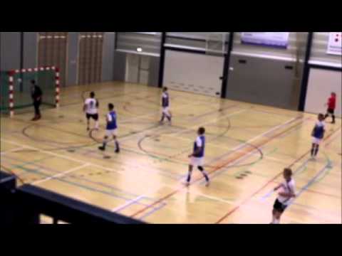 Futsal Goal vv Roden