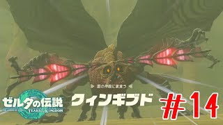 きっっっっっっっしょ！！！！！！！！ #14【ゼルダの伝説ティアーズオブキングダム】
