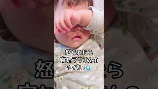 最近怒られたらこれする😅 #赤ちゃん #赤ちゃんのいる生活 #1歳児 #クォーター #クォーターベビー #三兄弟 #末っ子 #shorts #怒られる #怒られるボク #怒られたら寝たフリ