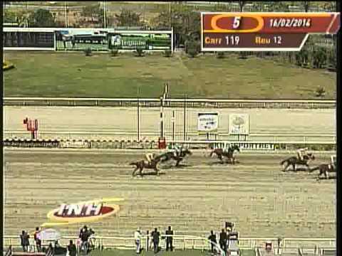 Resumen Domingo, 16 de Febrero de 2014 - La Rinconada