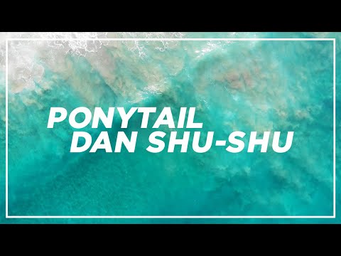 [Orchestral Cover] JKT48 - Ponytail dan Shu-Shu