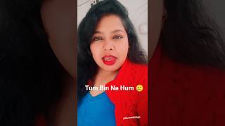 Download lagu Tum Bin Na Hum Jee Sakenge ❤️ | Romantic Lipsync Mini Vlog #shorts #shortsfeed #MamtaMiliVlogs mp3
