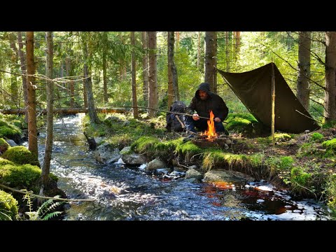 ALONE IN THE WILD - BUSHCRAFT - CATCH AND COOK