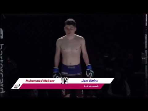 MMA HIGHLIGHT Muhammad Mokaev - Tanko FC Flyweight Title