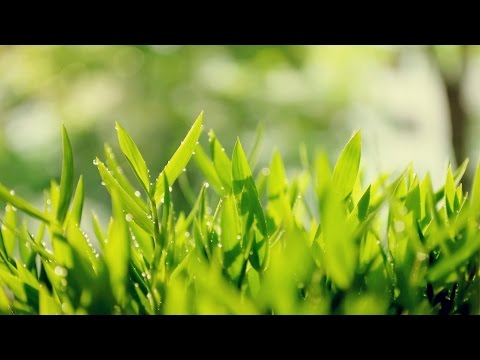 Andy Moor Vs. Orkidea - Year Zero (Mike Sanders Remix)