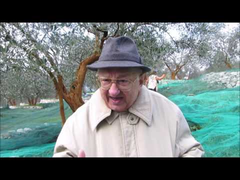 Azienda Agricola Olivicola Vittorio Baratta - La conclusione dei lavori