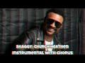 Shaggy Church Heathen Instrumental With Chorus