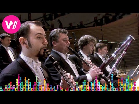 Tchaikovsky - Symphony No. 5 in E minor, Op. 64 (Mariinsky Theatre Orchestra, Valery Gergiev)