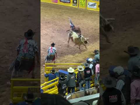 Great Bull Rider. Rodeo Bull Riding.