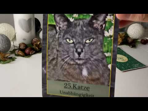 Orakel | Tagesbotschaft | Tagesorakel | Tagesimpuls | Tageskarte für den 05.10.2020