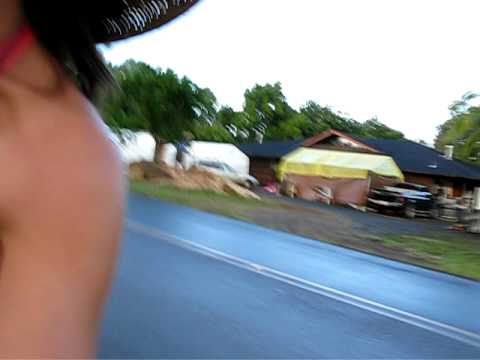 A wagonload of seeds, starts, and shoots travels from Akamai Backyard to Zero One