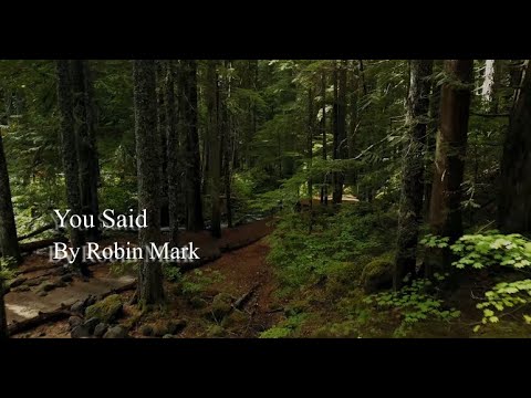 Thumbnail for You Said video