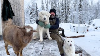 Cold Weather Construction: Finishing Cabin Deck in Alaska