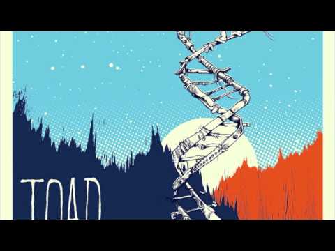 The Moment video
