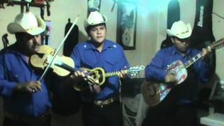 trio querencia hidalguense serenata huasteca