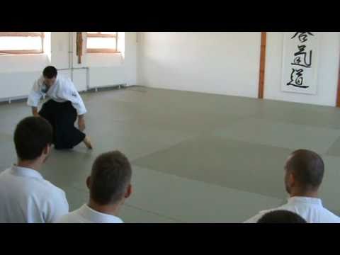 Ukemi-zenpo (niho) - Budo Seminar with Gollob Szabolcs 4th dan Aikido in Hungary in 2010