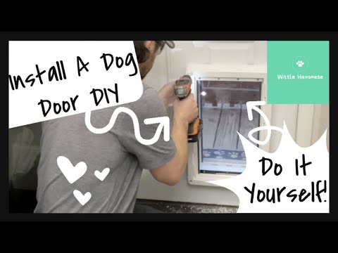 How To Install A Doggy Door With Mastering Mayhem | Wittle Havanese