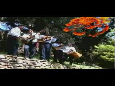 VUELO DE OLVIDO   EMBAJADORES DEL GUADALQUIVIR   VIDEO CLIP