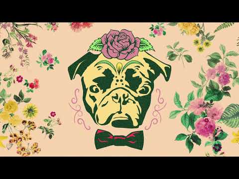 Roope Salminen & Koirat - Tanssi se ulos (feat Ellinoora)