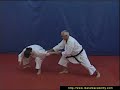 Bunkai Kanku Sho Par Jean Pierre Lavorato