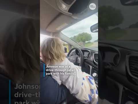 Boris Johnson pecked by ostrich in hilarious viral video Shorts