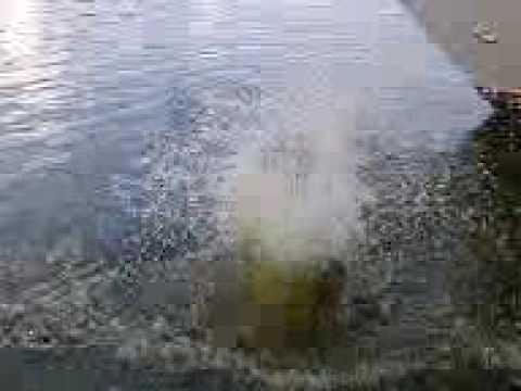 weener  junge springt im hafen