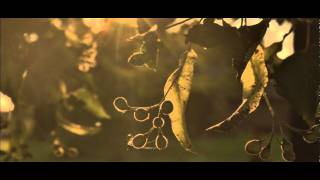 Broken Social Scene - Mossbraker