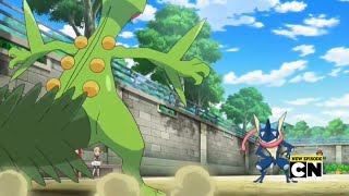 [Pokemon Battle] - Sceptile vs Greninja