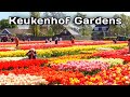 Keukenhof Gardens In Lisse Netherlands