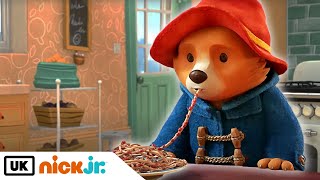 The Adventures of Paddington  Paddington And The P