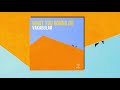 Vakabular What You Gonna Do Original Mix